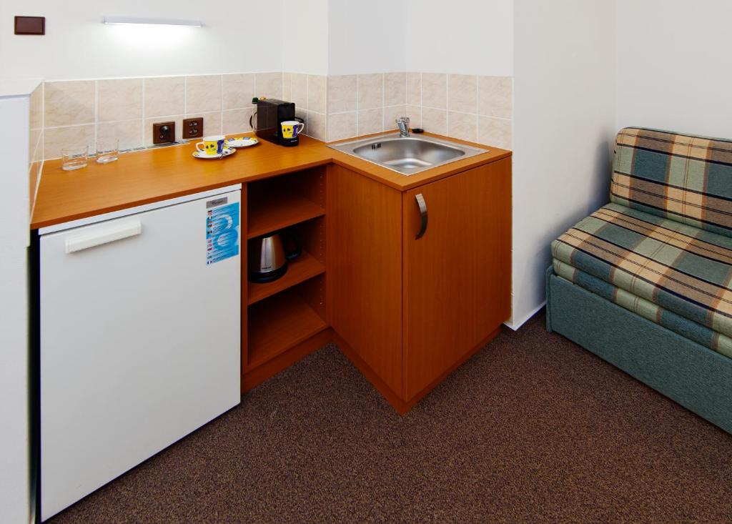 Kuchyň nebo kuchyňský kout v ubytování Hotel Wolf