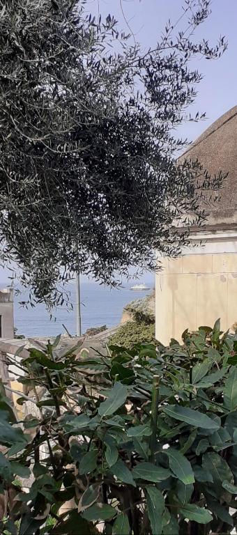 Zahrada ubytování Sonnino B&B