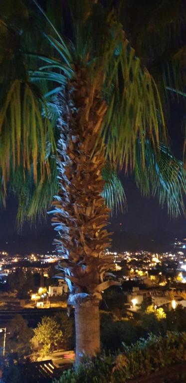 Fotografie z fotogalerie ubytování Villa Cosy v destinaci Yalıkavak