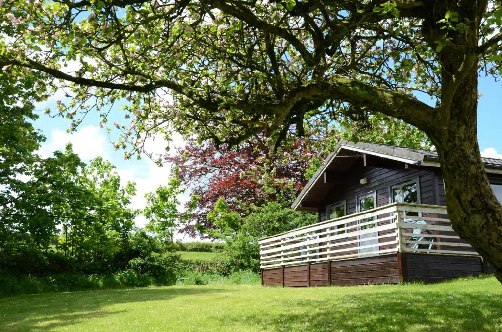 Zahrada ubytování Avallon Lodges