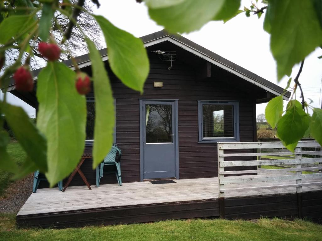 Zahrada ubytování Avallon Lodges