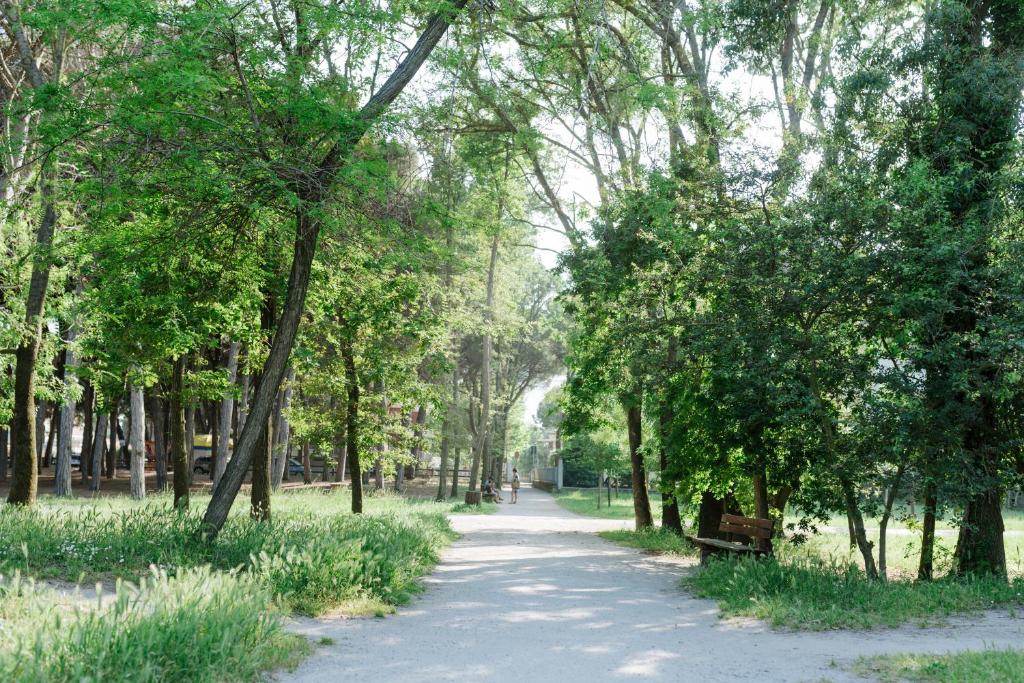 A garden outside Hotel Bassetti