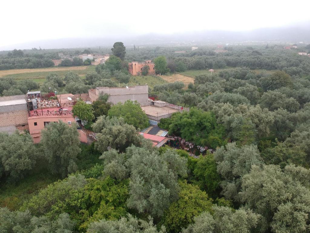 an overhead view of a building in the trees at Maison d'hotes Ait Bou Izryane in Timoulilt