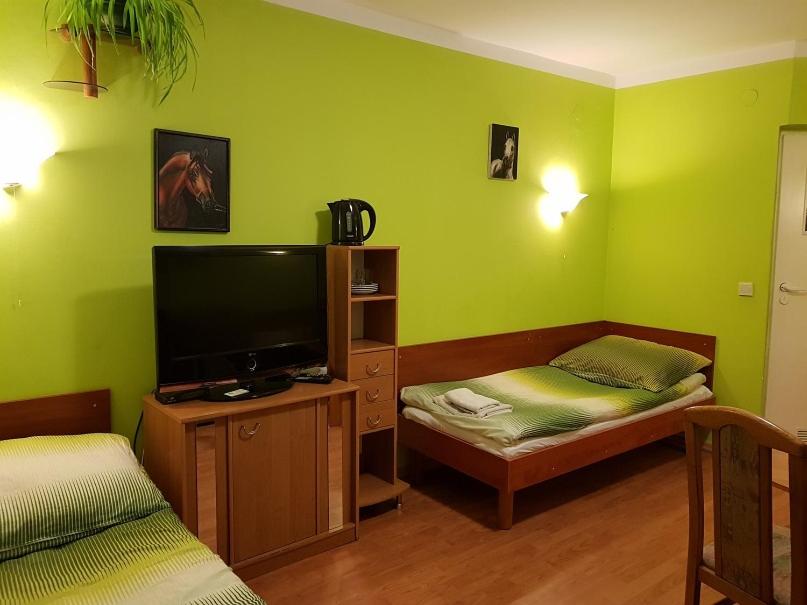 um quarto verde com 2 camas e uma televisão de ecrã plano em Gospodarstwo Agroturystyczne Anielin em Okonek