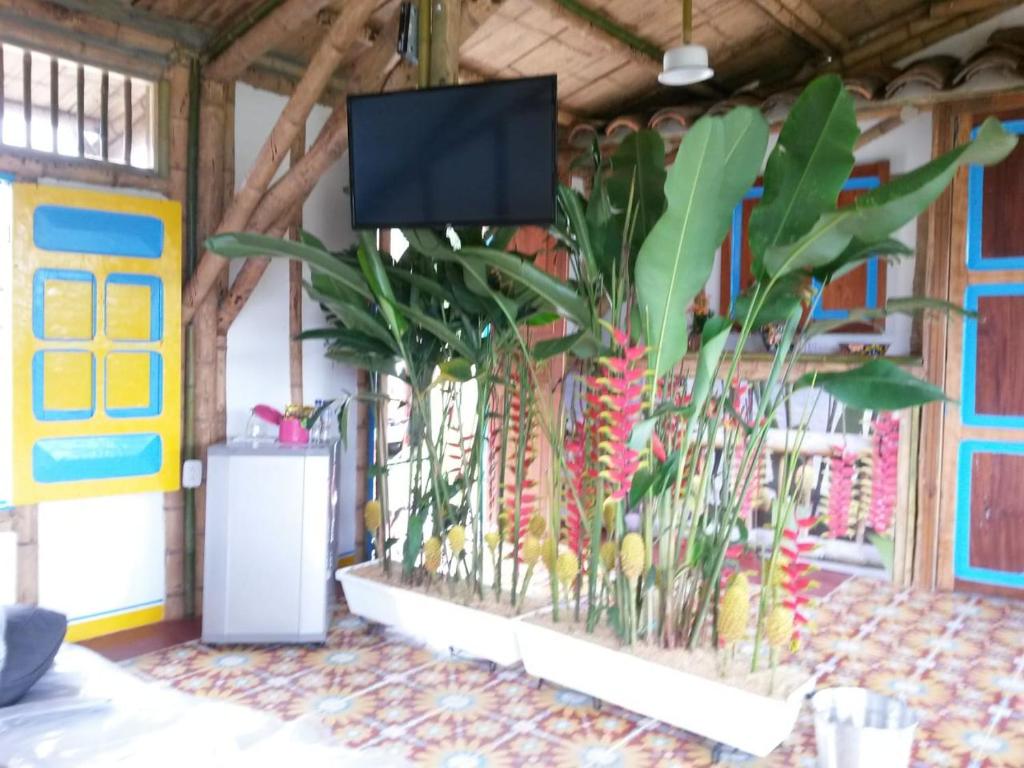 Aed väljaspool majutusasutust Hacienda Guayabal