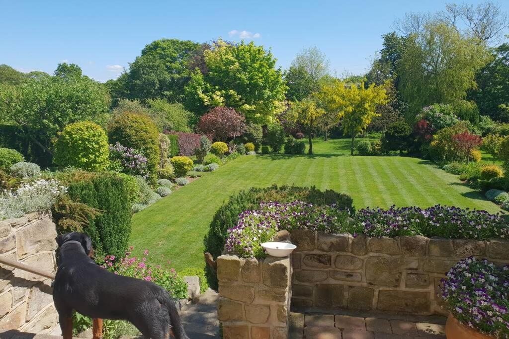 a dog standing next to a stone wall in a garden at Large 2 ensuite bedroom flat with lovely views in Leeds