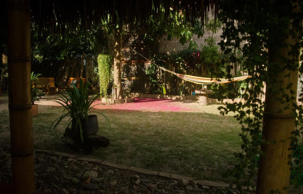 Κήπος έξω από το Hostal Corazón de Tagua