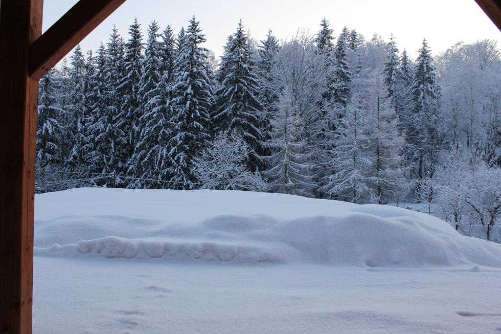 Cudne Manowce durante l'inverno