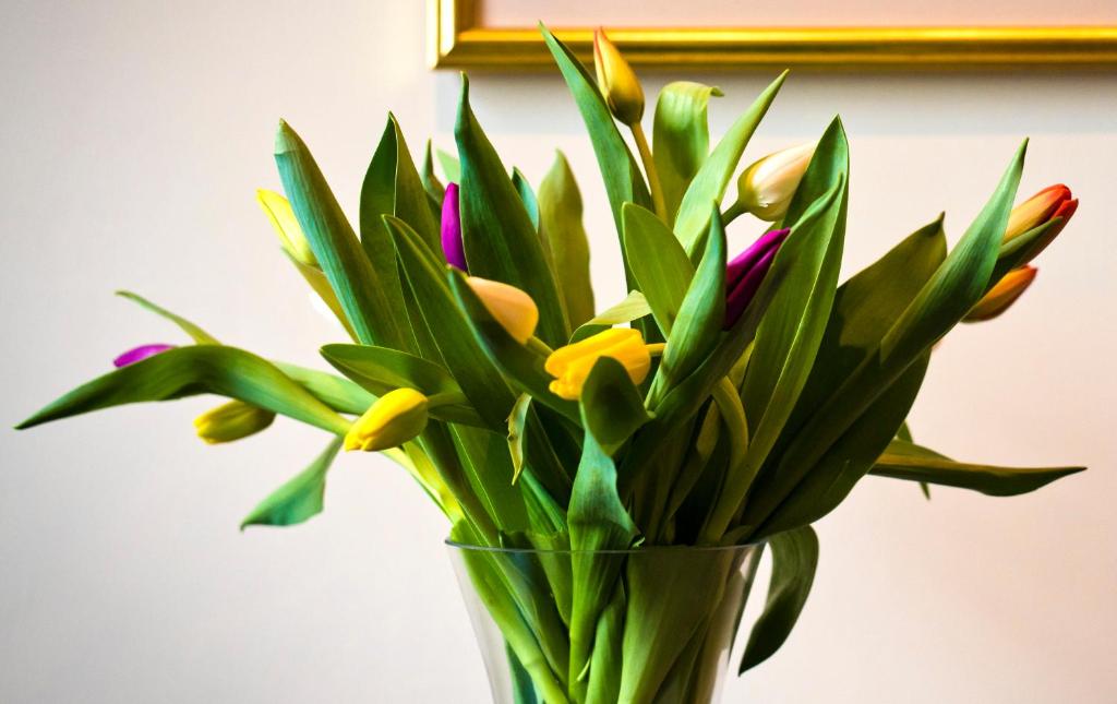 Bowling Green - Resim 33