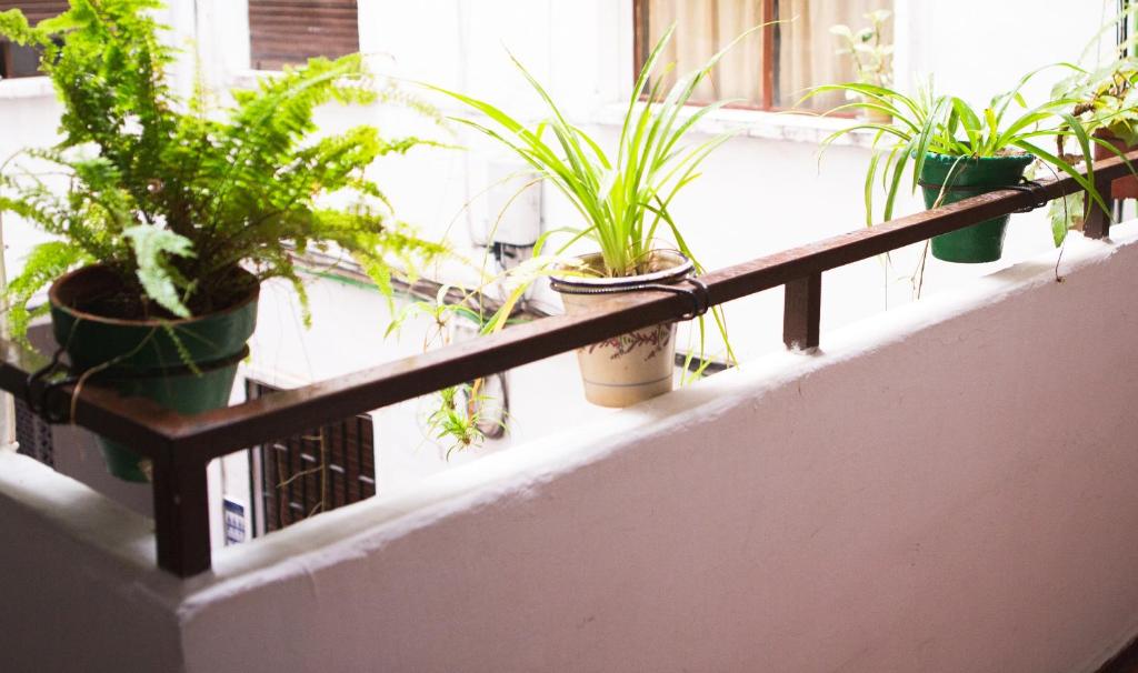 A balcony or terrace at Amor, emoción y más, Auténtico apartamento céntrico climatizado,con wifi, cercano a la catedral y estaciones