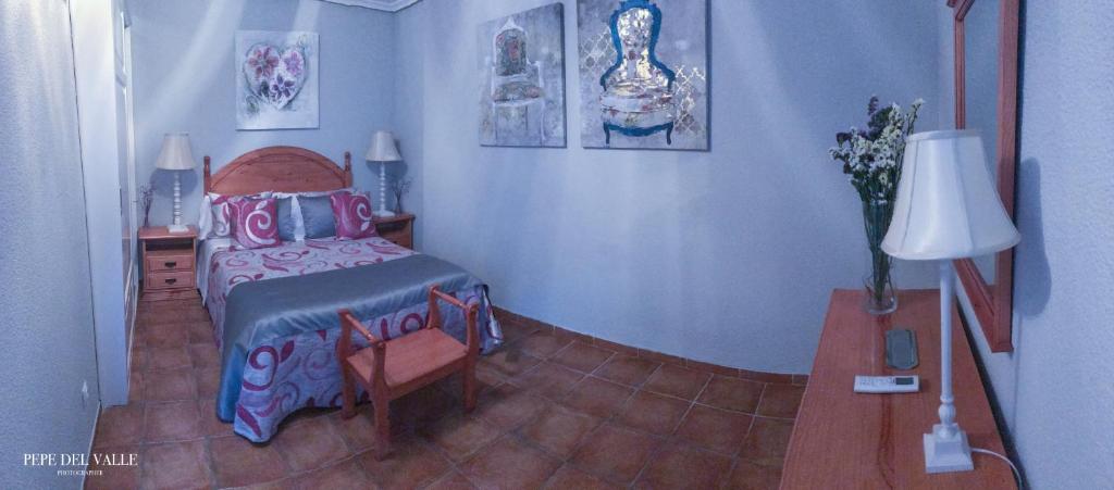 Los patios “ El Carmen” - 19