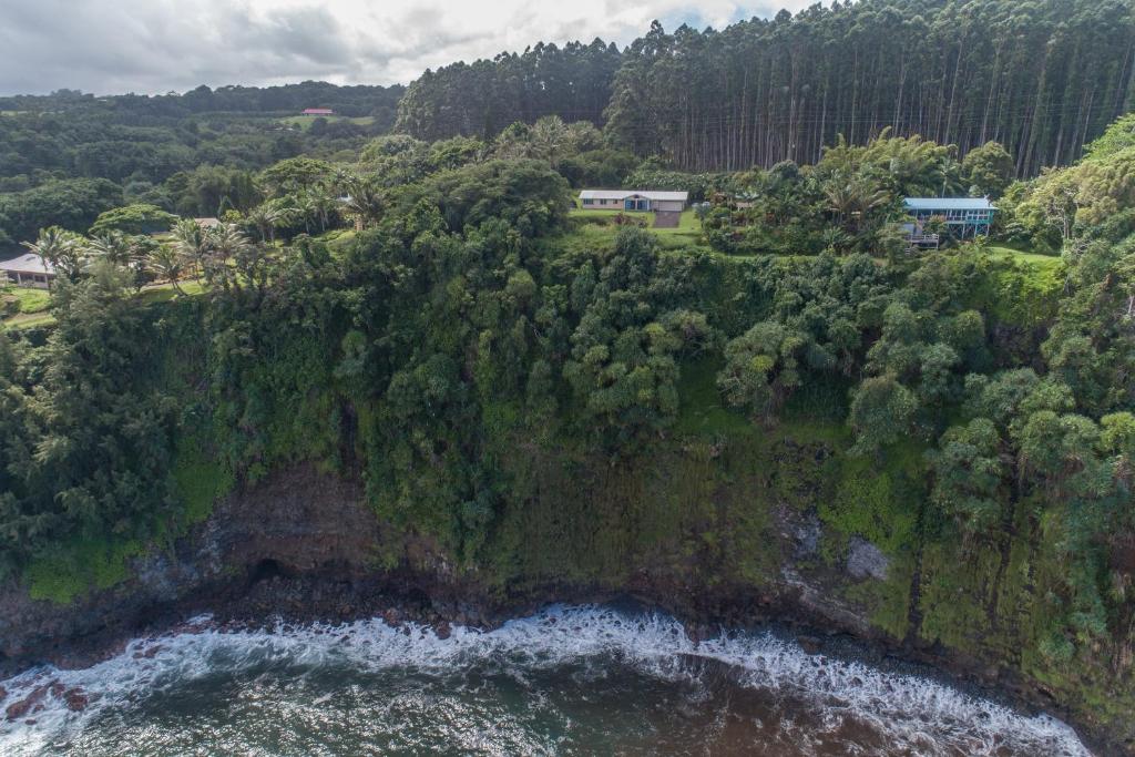 an aerial view of a mountain with trees and water at Hamakua Pukana La Hale home in Papaaloa