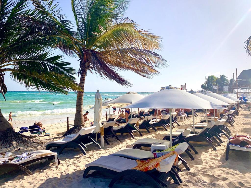 una playa con sillas, sombrillas y una palmera en SILVERSANDS Hotel Boutique - 5Th Ave en Playa del Carmen