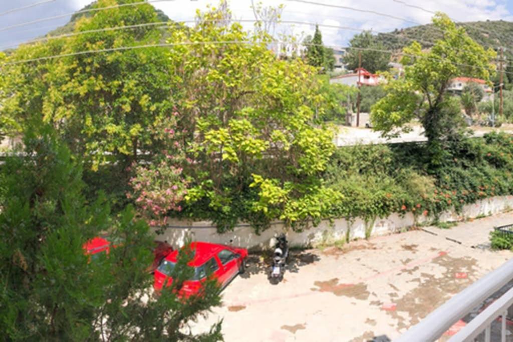 Príroda v okolí apartmánu