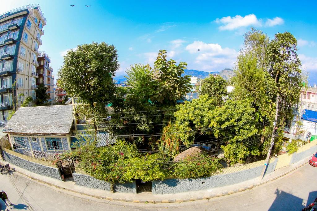 Priroda u blizini hotela