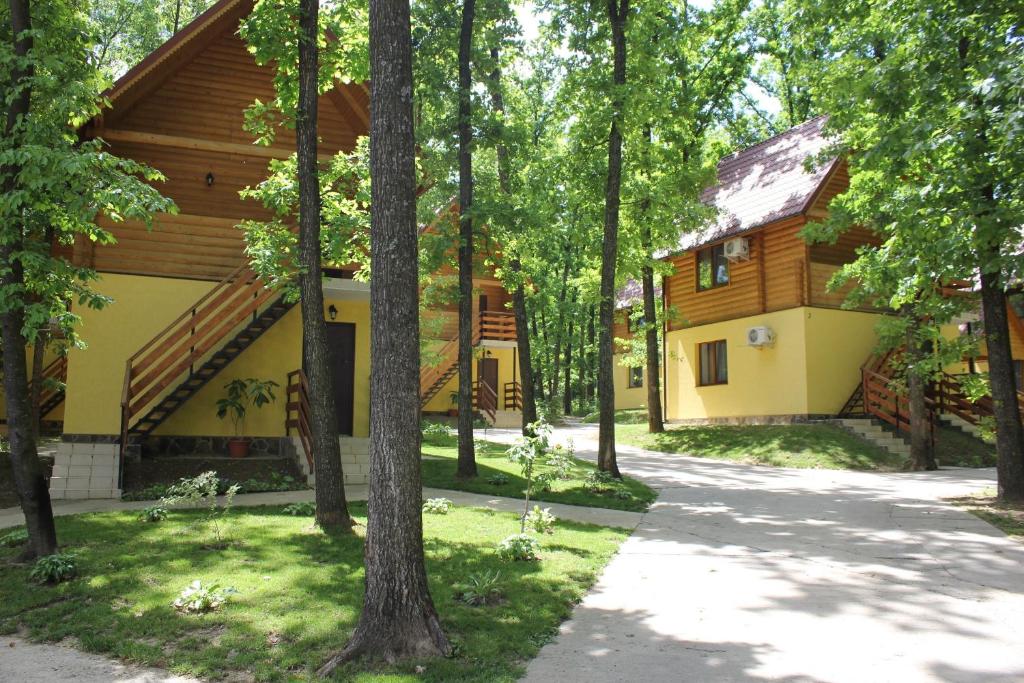 a house in the woods with a path in front at Вілія in Lomacineţi
