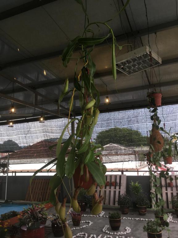 Fotografie z fotogalerie ubytování Anderson Hotel v destinaci Ipoh