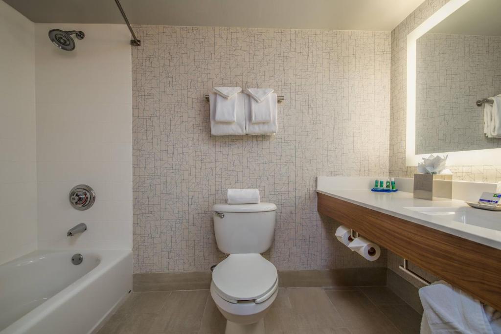 Holiday Inn Express Phoenix-Airport/University Drive, an IHG Hotel - Rey Suite