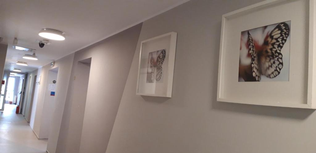 City Hotel Bucharest - Resim 35