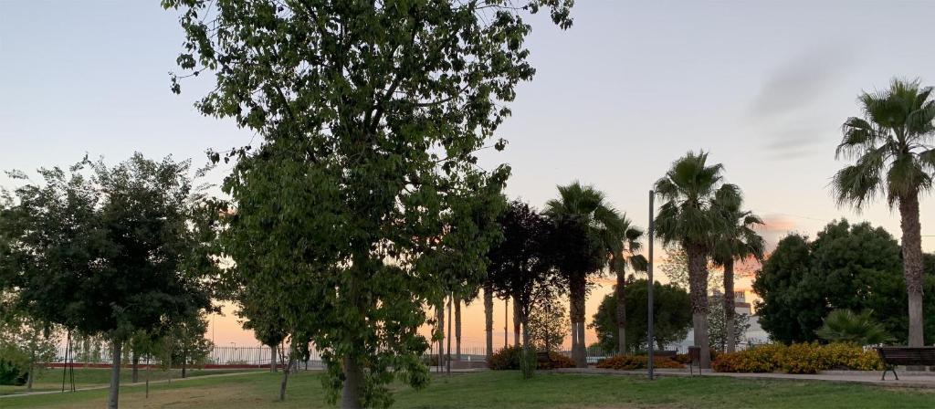 Zahrada ubytování FUENTE REDONDA EN BAEZA