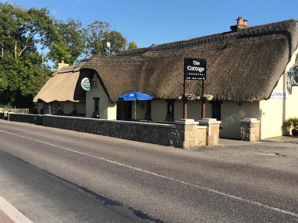 a building with a thatched roof next to a road at Bridge Cottage in Cork