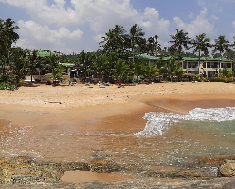 einen Sandstrand mit Palmen und dem Meer in der Unterkunft Hotel Palm Rock Beach in San-Pédro