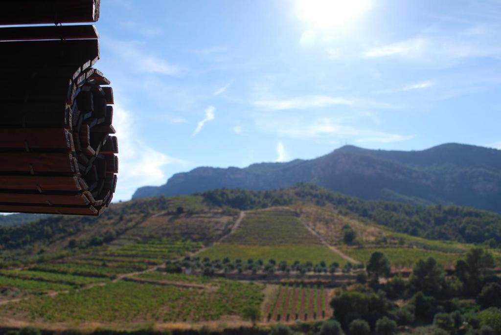 a view of a vineyard from a gondola at L'Acadèmia de La Vilella Baixa 2 in La Vilella Baixa
