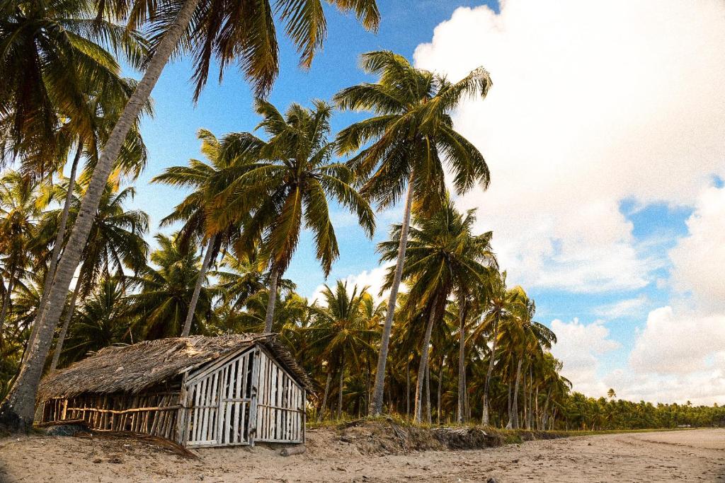  Pousada Porto Manguaba