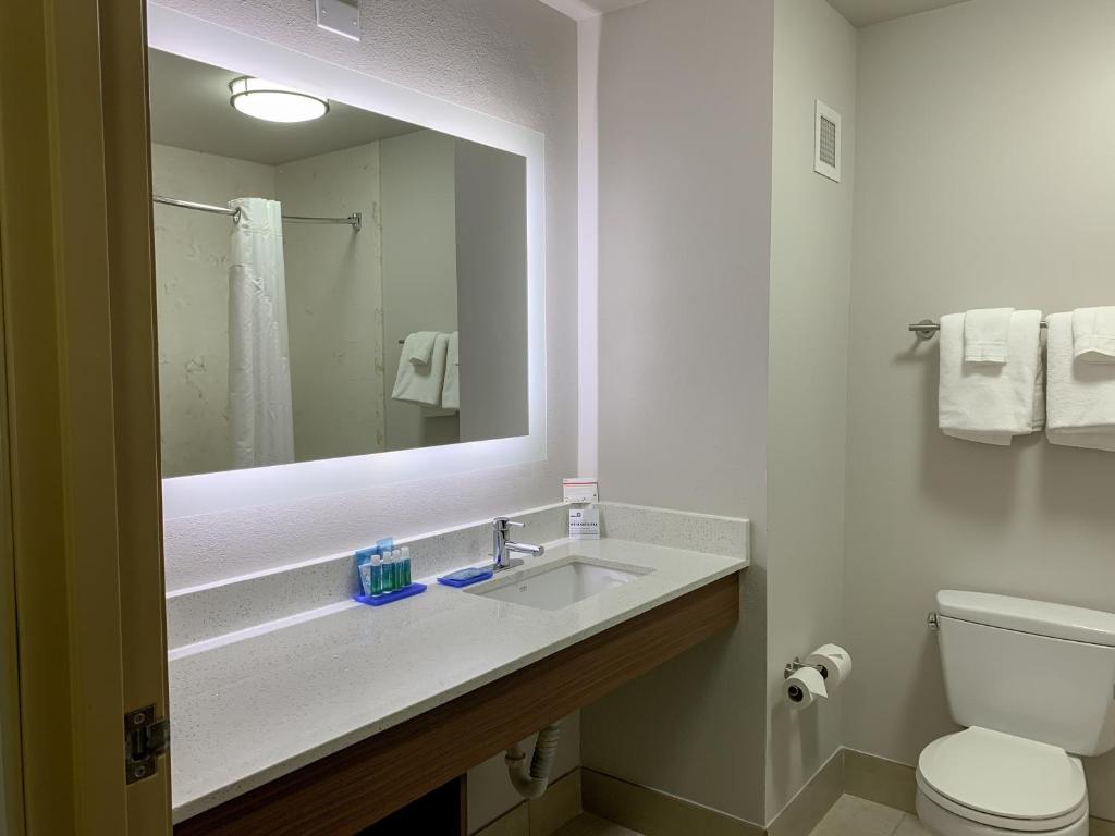 Holiday Inn Express & Suites Lexington Downtown Area-Keeneland, an IHG Hotel - 