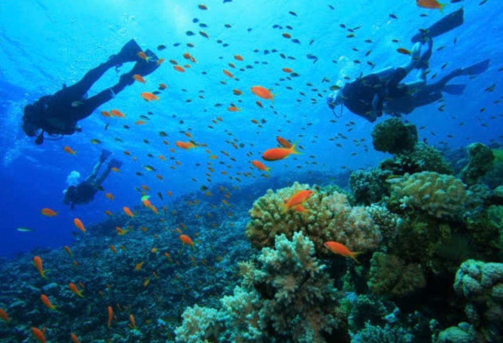  Arraial do Cabo Golden Lake