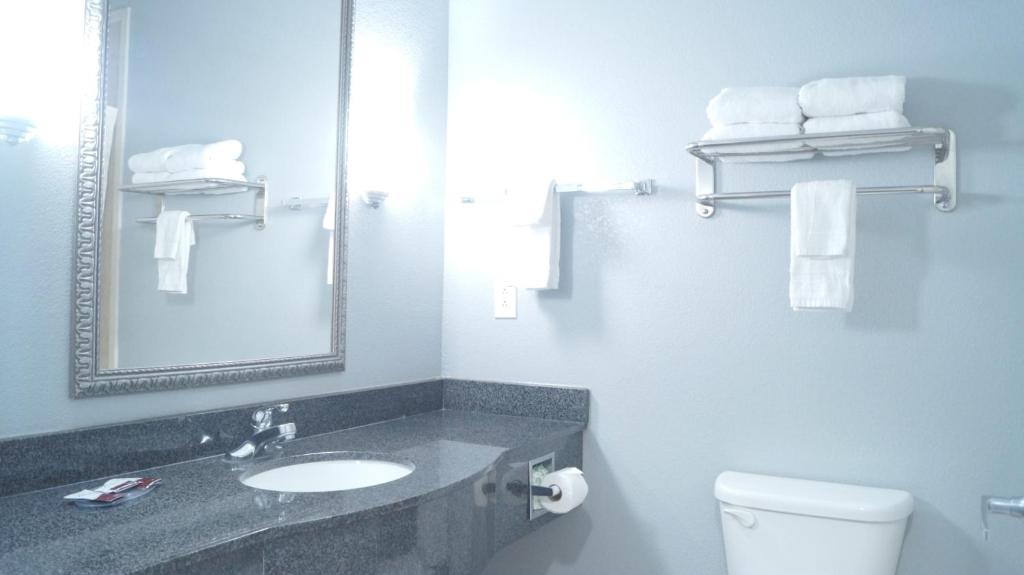 Magnolia Inn and Suites Olive Branch - Camera Re