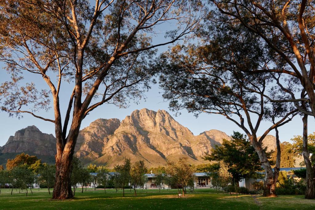 uma vista das montanhas notáveis a partir de um parque em Boschendal Farm Estate em Franschhoek