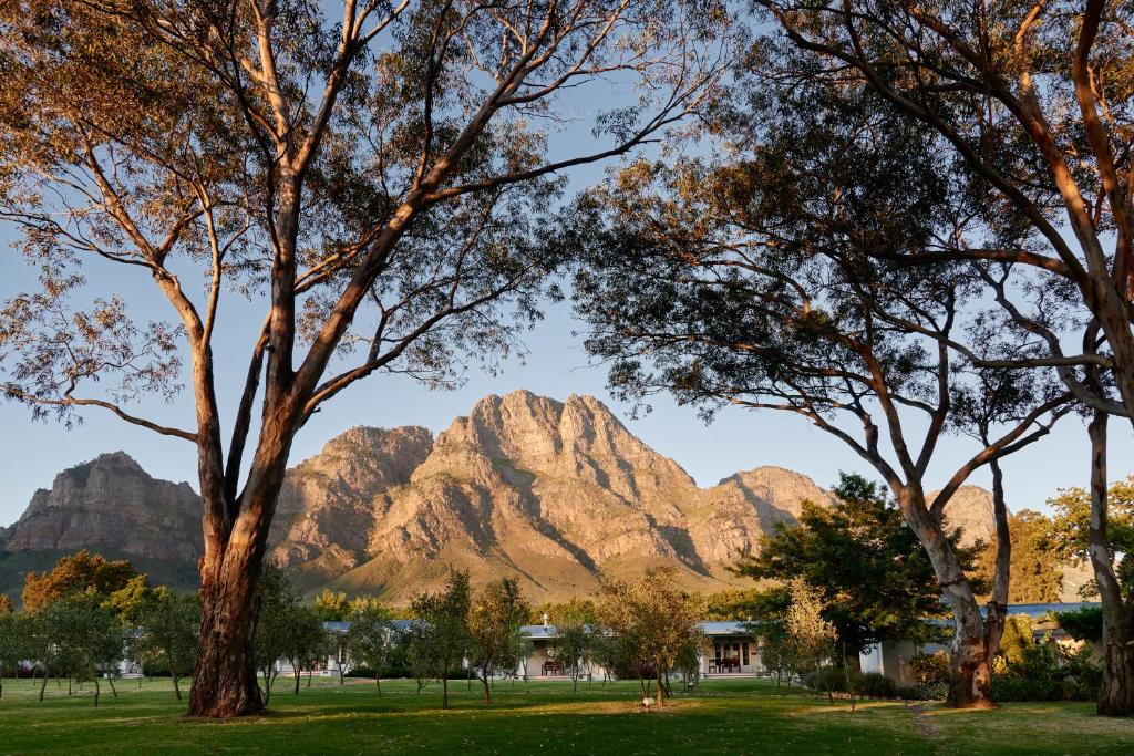 フランシュホークにあるBoschendal Farm Estateの公園からの素晴らしい山脈の景色