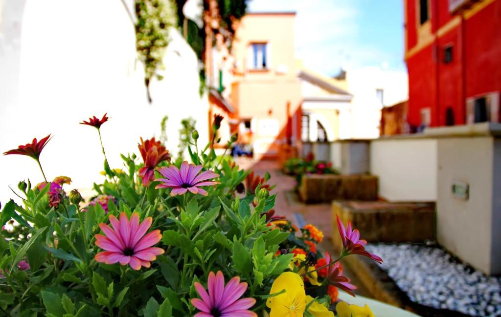 un ramo de flores en un jardín de flores en Il Borghetto Apartments & Rooms en Procida