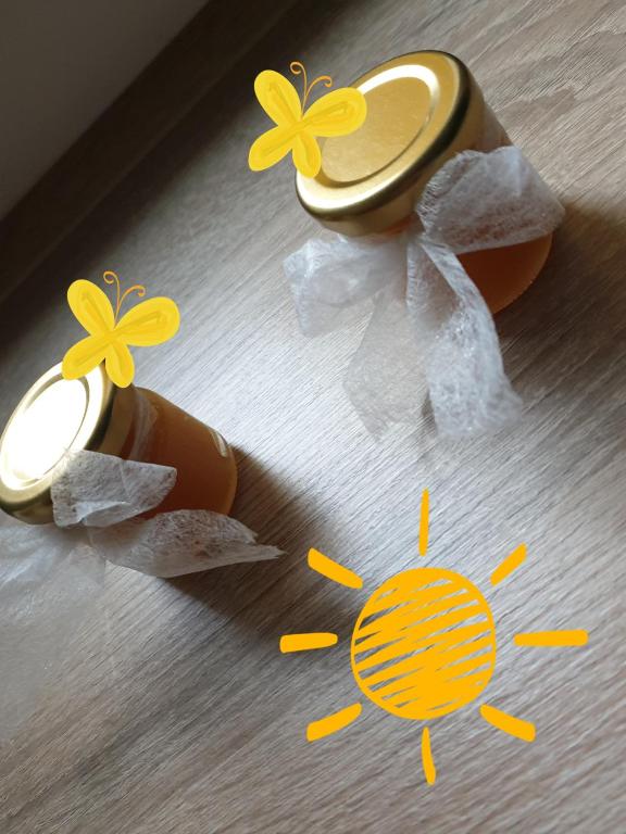 Sweet Honey Mieszkanie w Płocku - Appartement