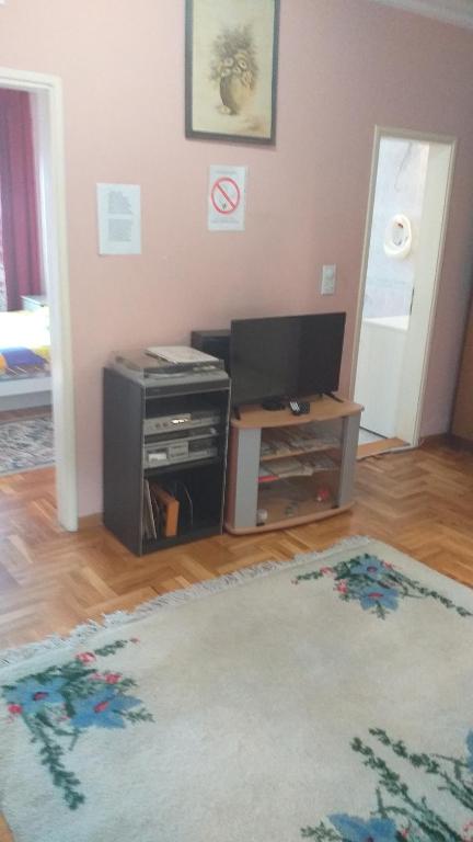 TV a/nebo společenská místnost v ubytování Apartment Gajic