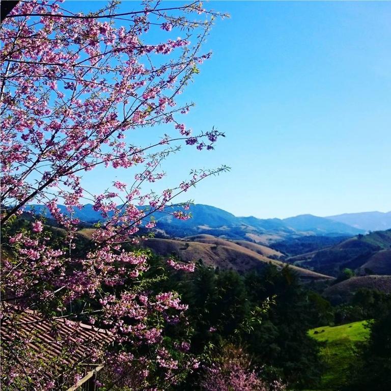  Jardim Suspenso da Babilônia