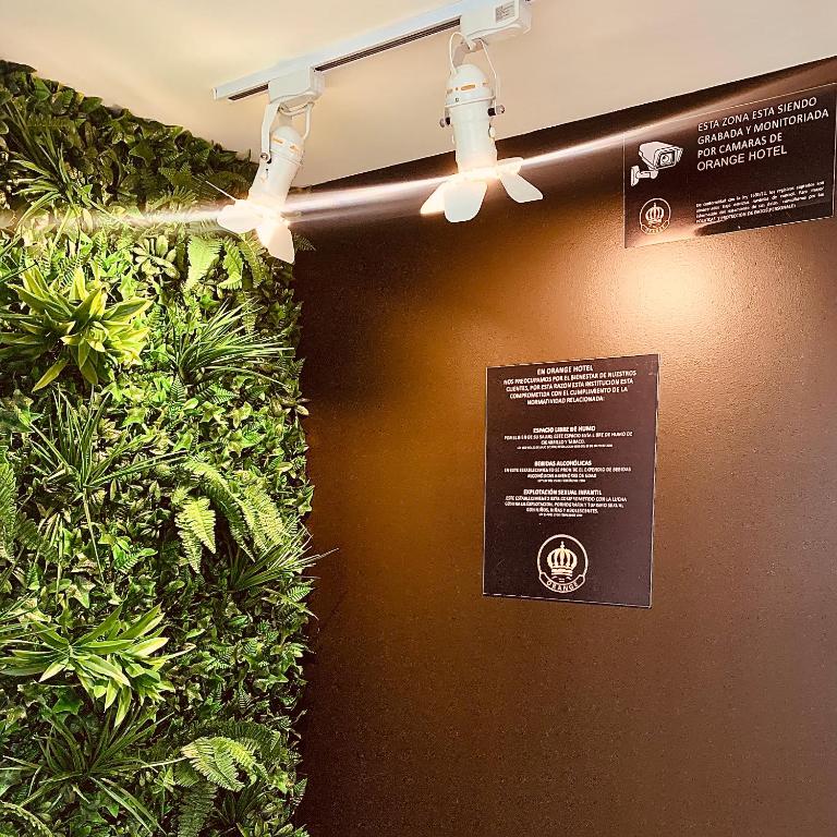 Fotografie z fotogalerie ubytování Orange Wild v destinaci Bogotá