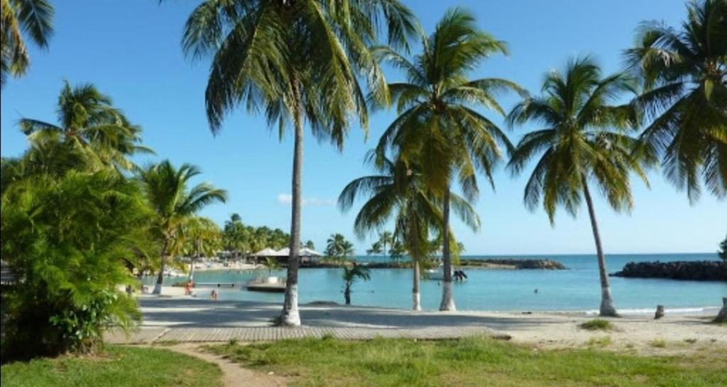 uma praia com palmeiras e um barco na água em "Le Caraïbe" T3 à Bas du Fort au Gosier à quelques pas de la plage em Le Gosier