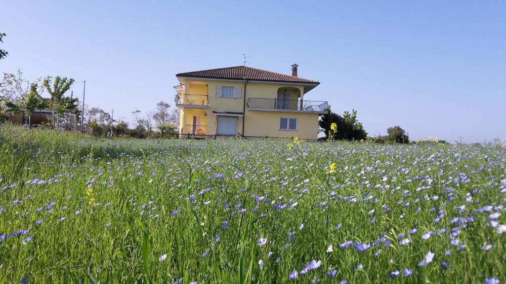 a house on a hill with a field of flowers at Villa Marianna in Vasto