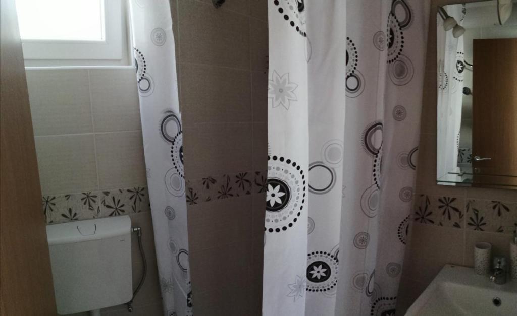 Koupelna v ubytování Apartman Gušt