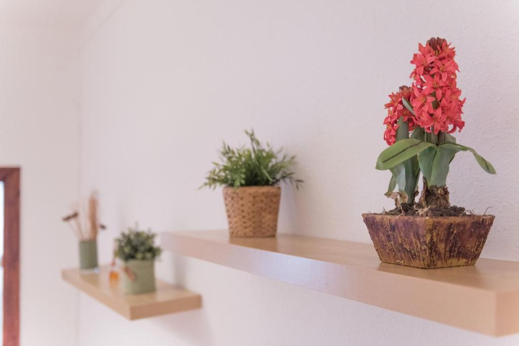 Fotografie z fotogalerie ubytování Sweet BCN Studio with Terrace v destinaci Barcelona
