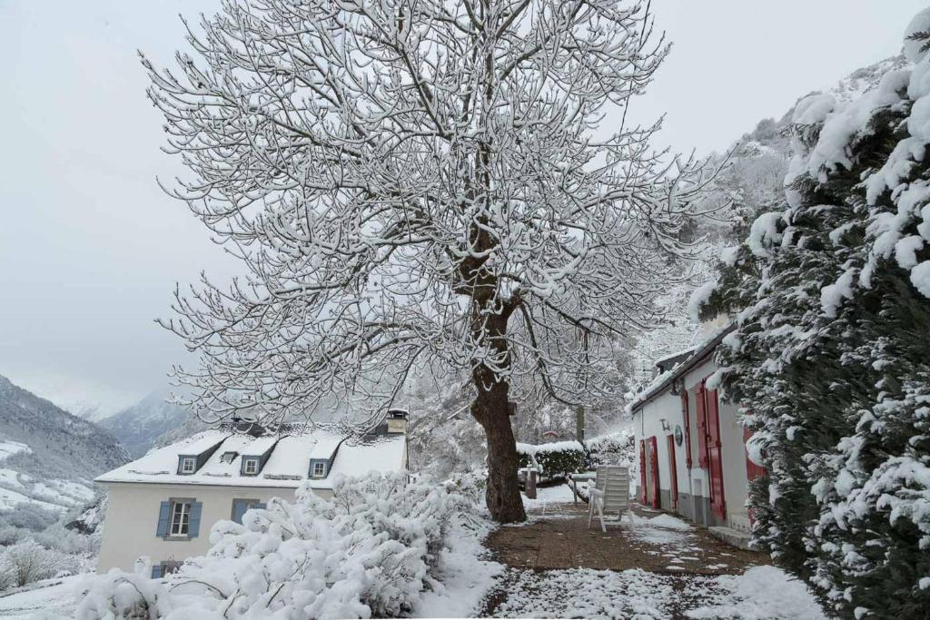 Comfortable farm house Petit Barzun, in the Parc National Pyrenees v zimě