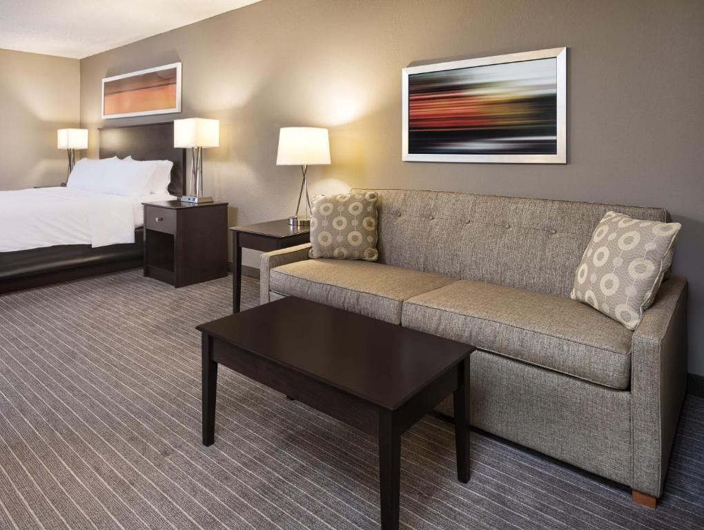Holiday Inn Express Hotel & Suites Minneapolis - Minnetonka, an IHG Hotel - Suite King Con Sofá Cama