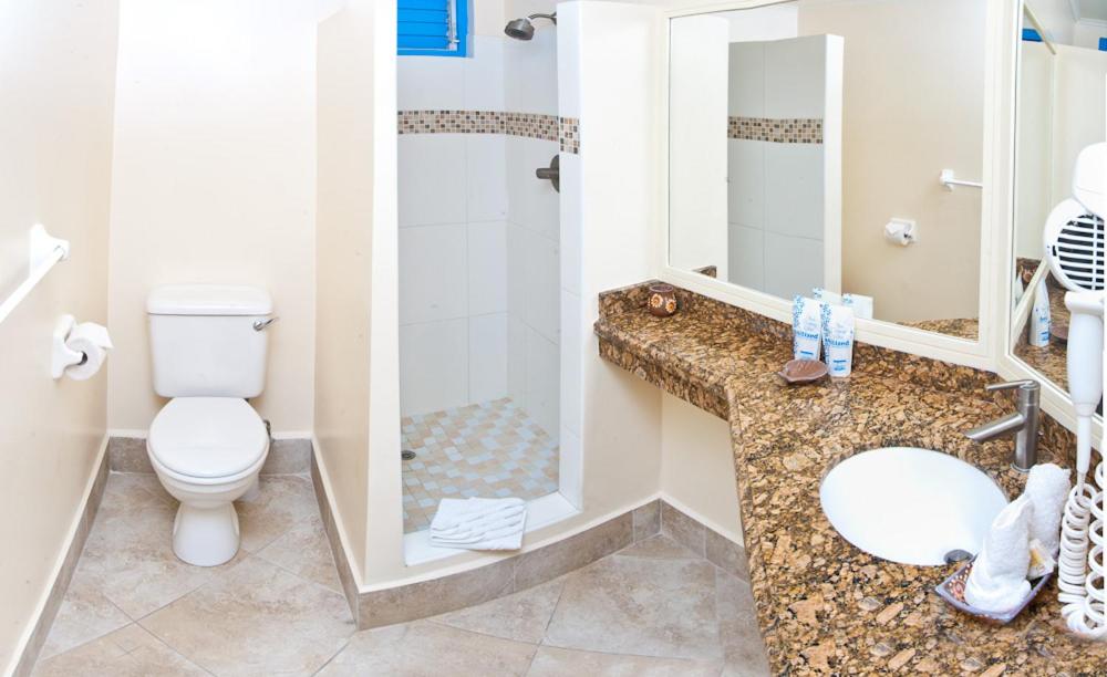 a bathroom with a toilet and a sink and a shower at Rostrevor Hotel in Christ Church