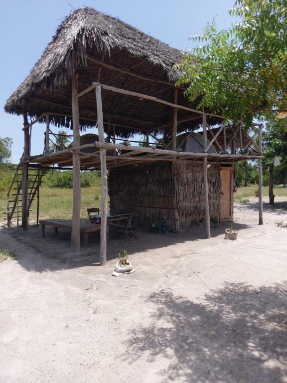 Fotografie z fotogalerie ubytování Mida Creek Nature Camp v destinaci Watamu