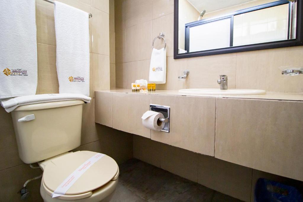 Koupelna v ubytování Hotel Ambassador Mérida