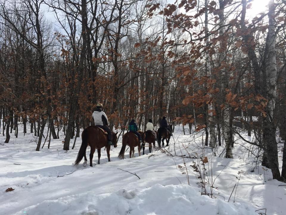 帯広八千代ユースホステル 帯広市 21年 最新料金