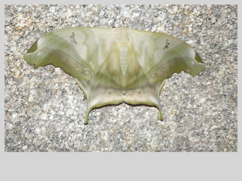  CASA PEDRA do CEPILHO