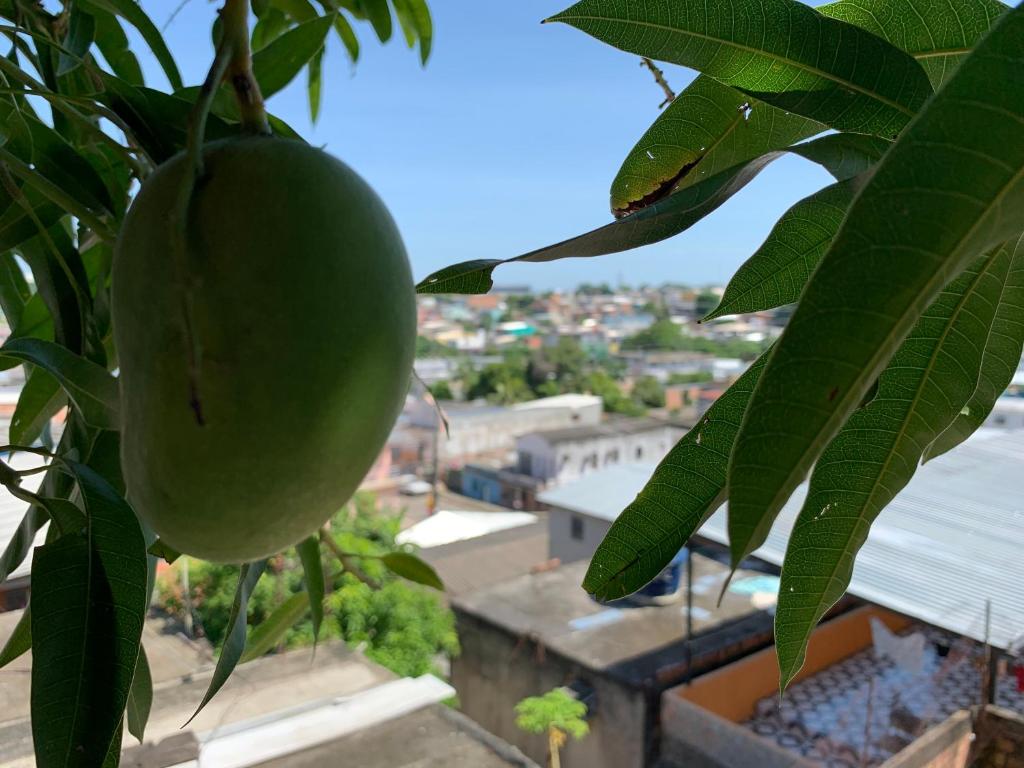  Casa na Magueira